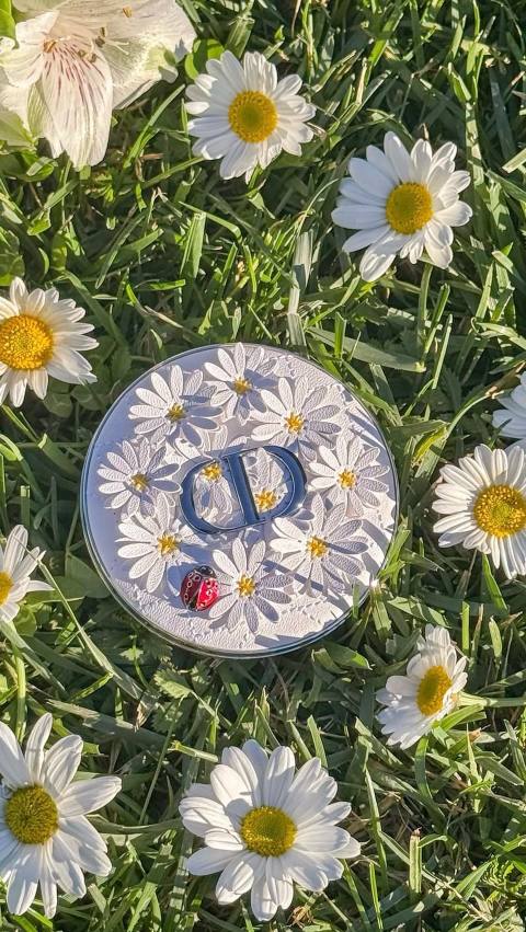 Dior Dioriviera summer collection reel, the bronzer and highlighter she was obsessed with